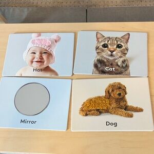 LOVEVERY educational picture cards inspector kit